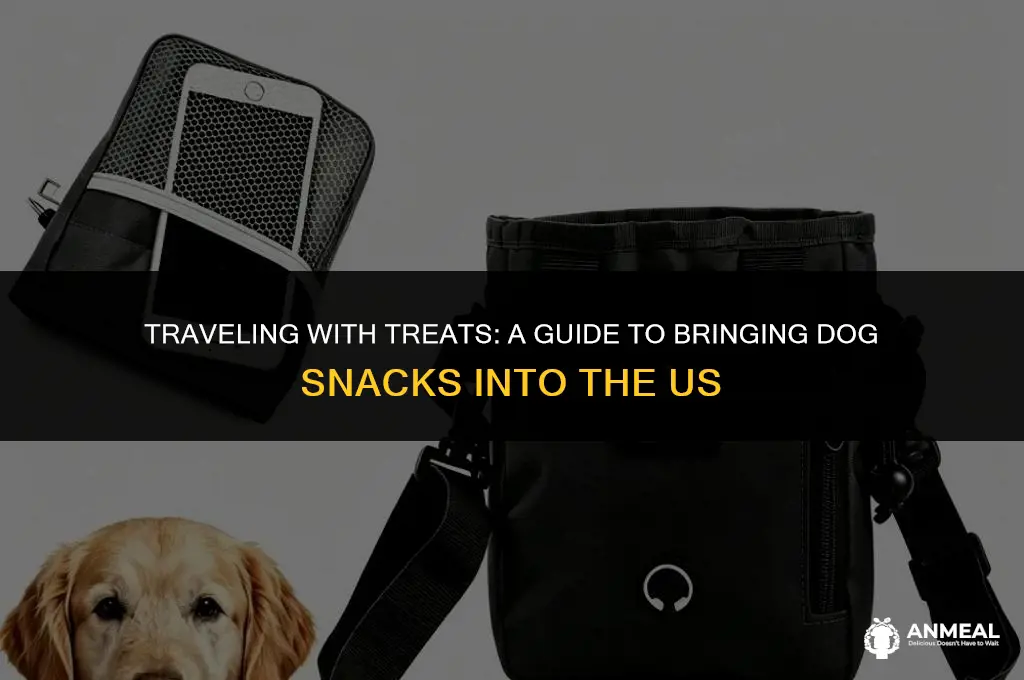 can i bring dog snacks into the us