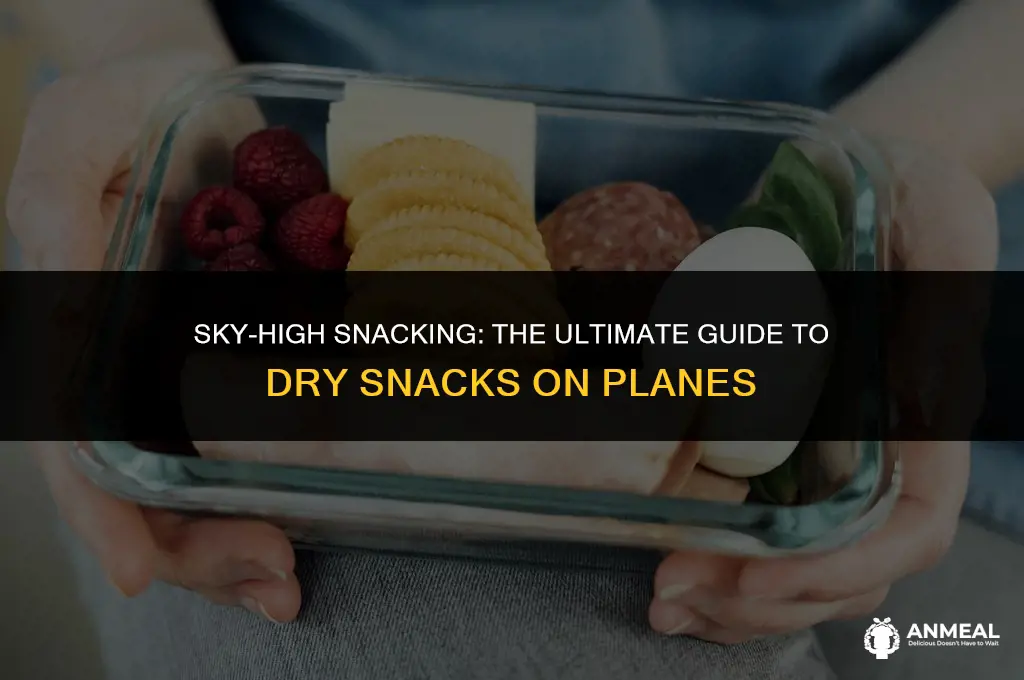can i bring dry snacks on a plane
