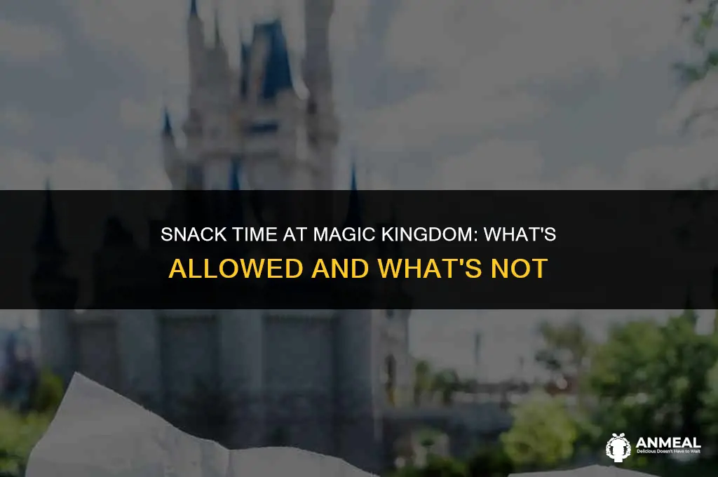 can i bring in snacks to magic kingdom