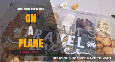 Snack Time in the Sky: Kid-Friendly Options for Air Travel