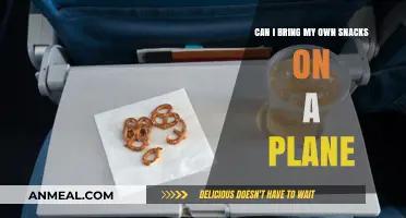 Sky-High Snacking: Your Guide to Bringing Food on Flights