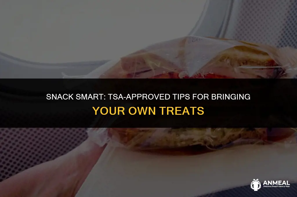 can i bring my own snacks through tsa