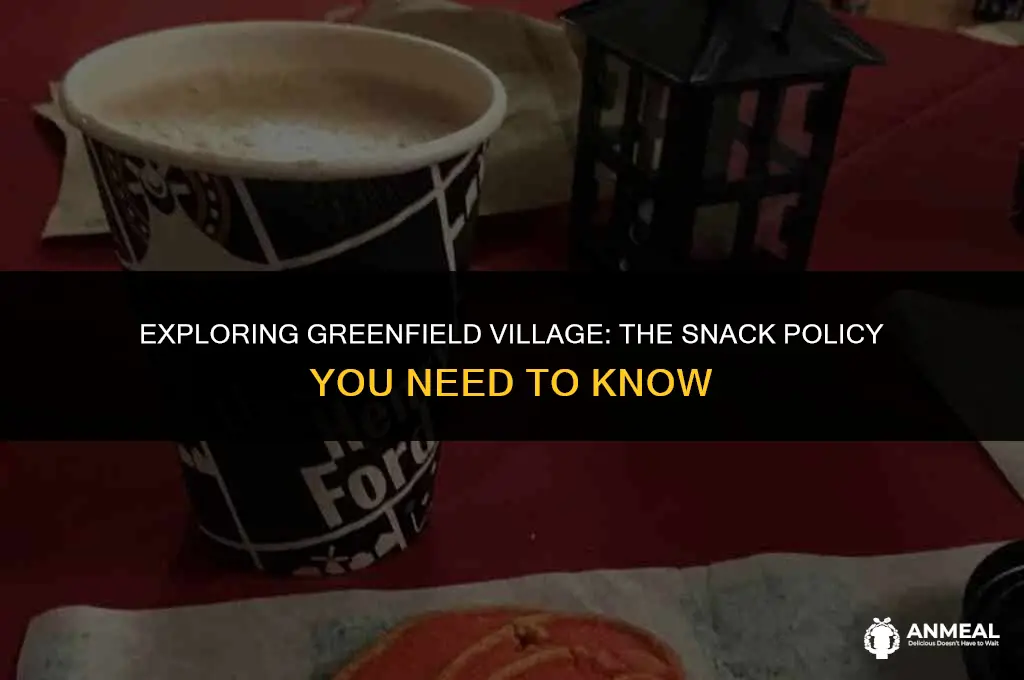 can i bring outside snacks to greenfield village