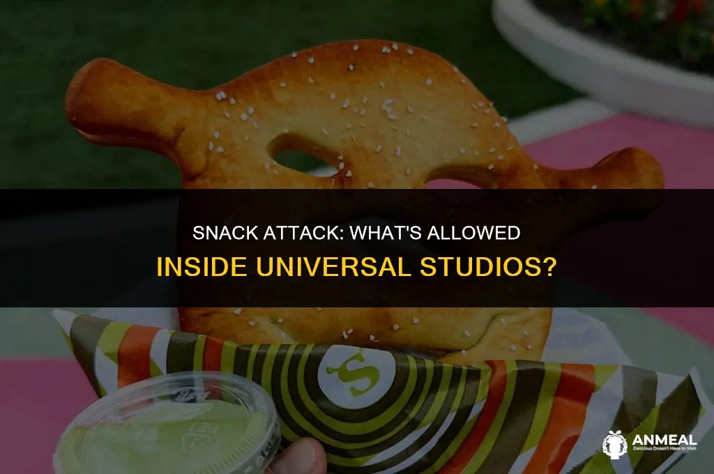 can i bring snacks into universal studios