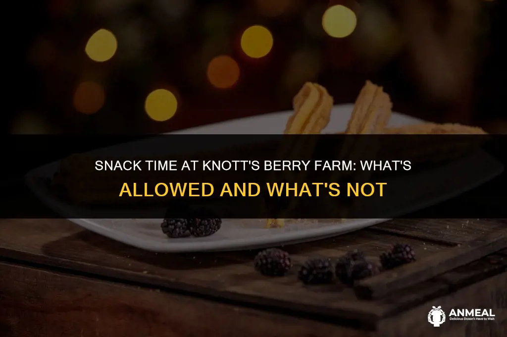 can i bring snacks to knott