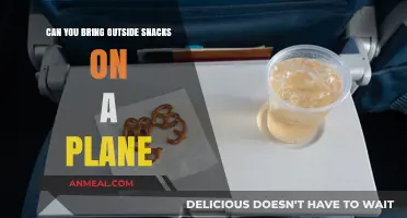 Sky-High Snacking: Your Guide to Bringing Outside Snacks on a Plane