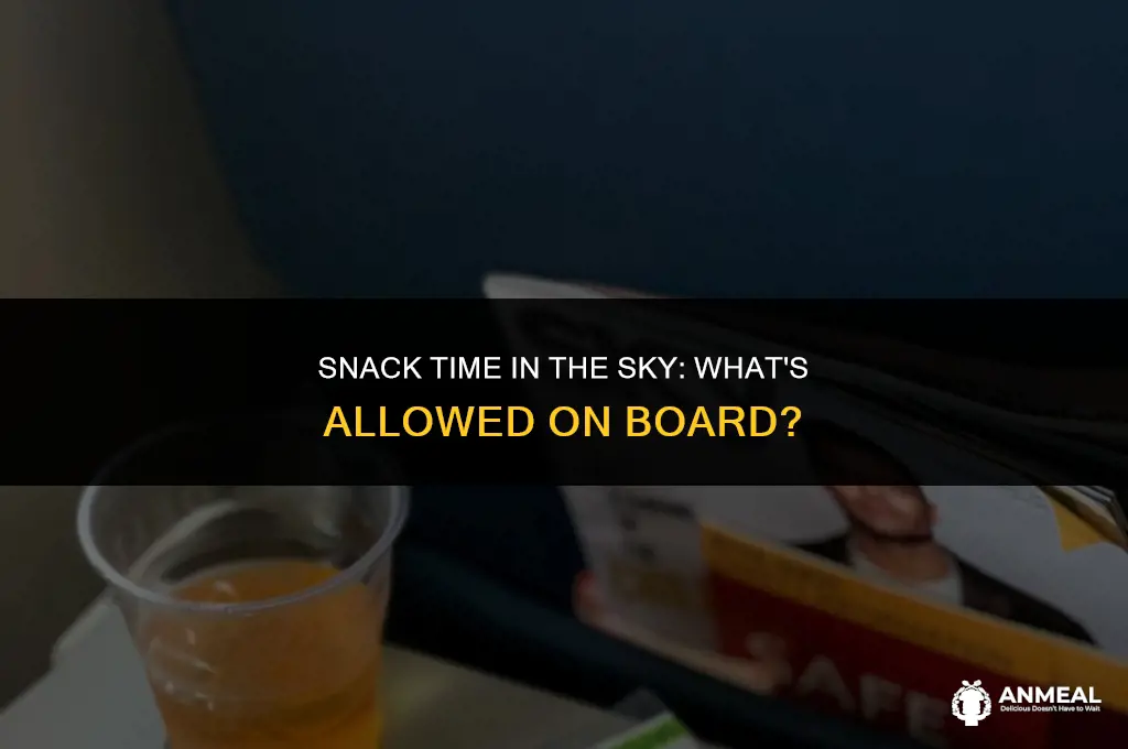 can you bring snack on a plane