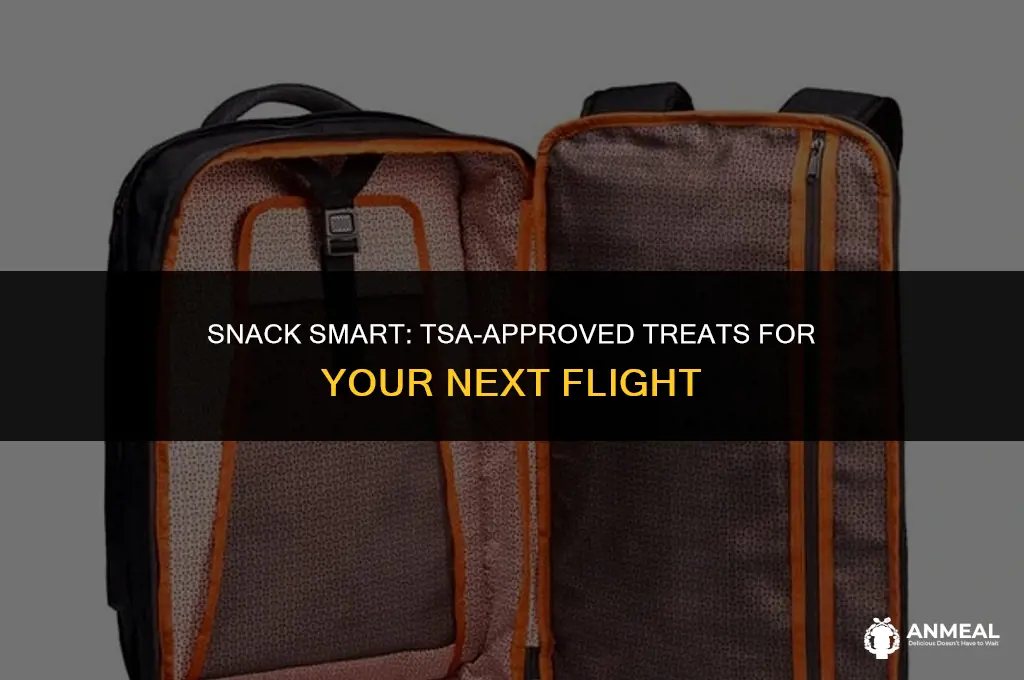 can you bring snack through tsa