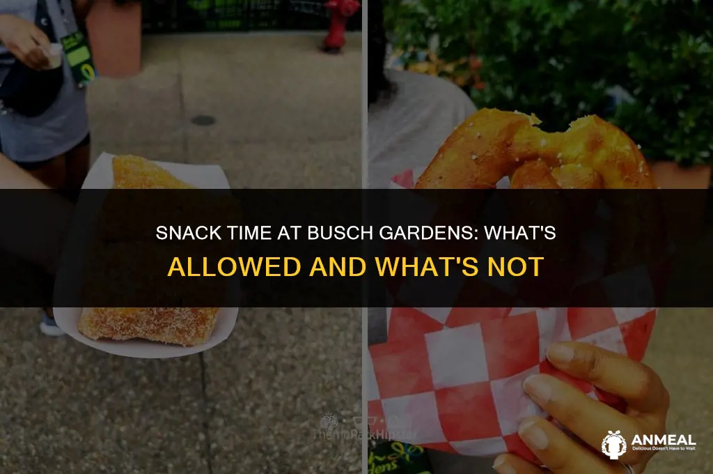 can you bring snacks into busch gardens