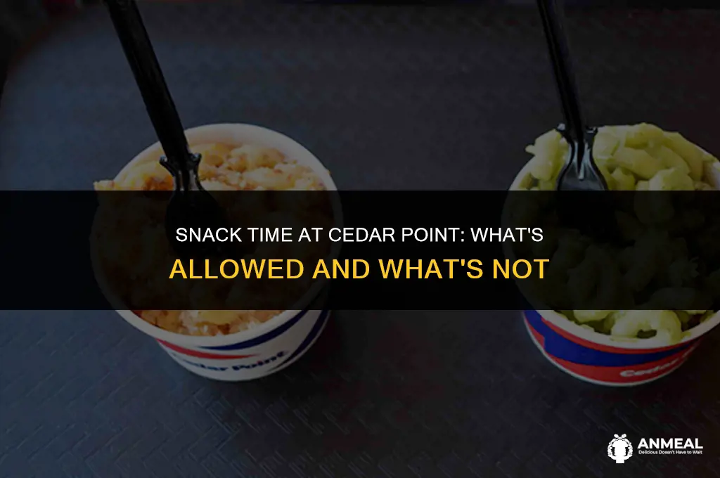 can you bring snacks into cedar point