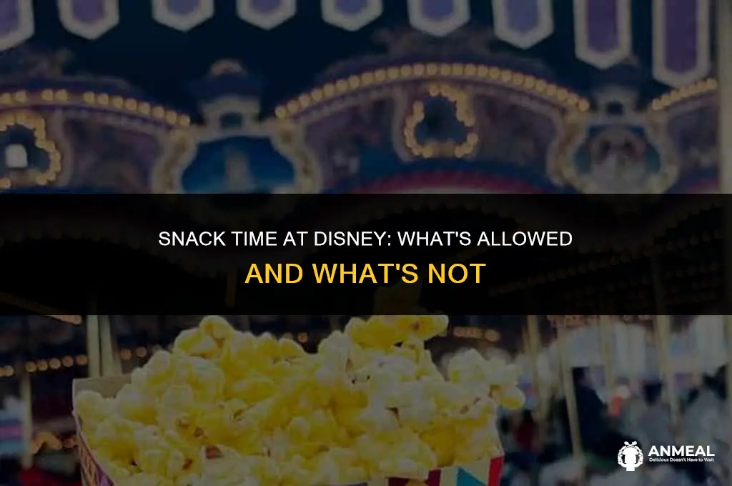 can you bring snacks into disney