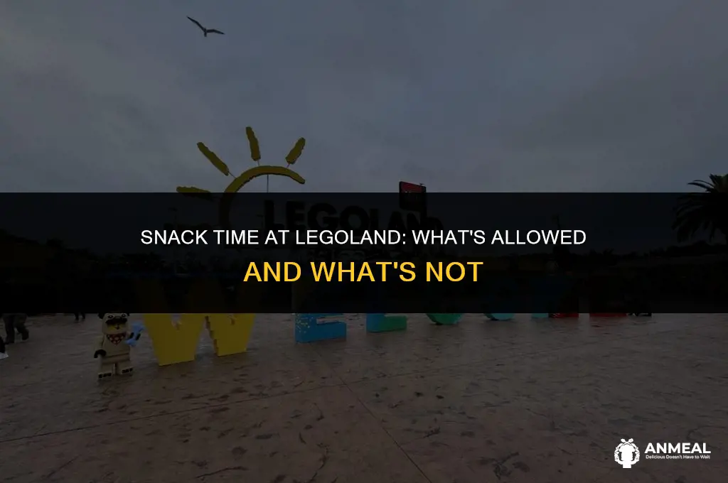 can you bring snacks into legoland