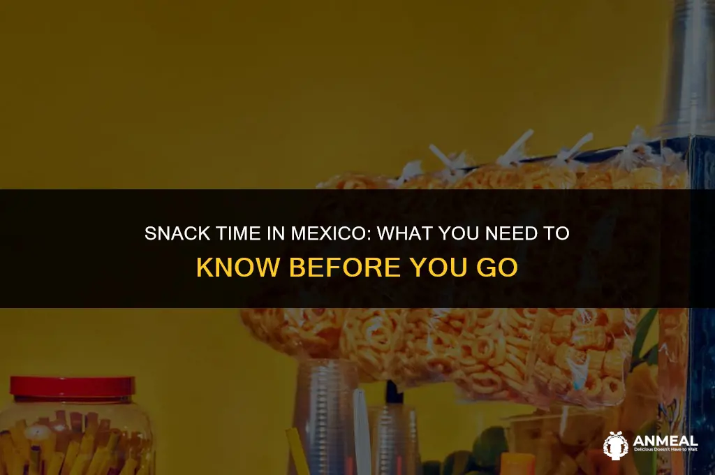 can you bring snacks into mexico