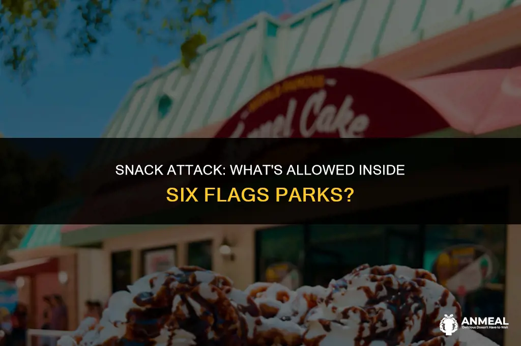 can you bring snacks into six flags