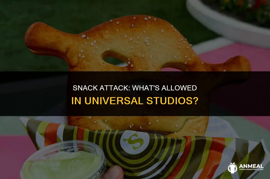 can you bring snacks into universal