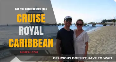 Snack Time on the High Seas: Royal Caribbean's Cruise Snack Policy