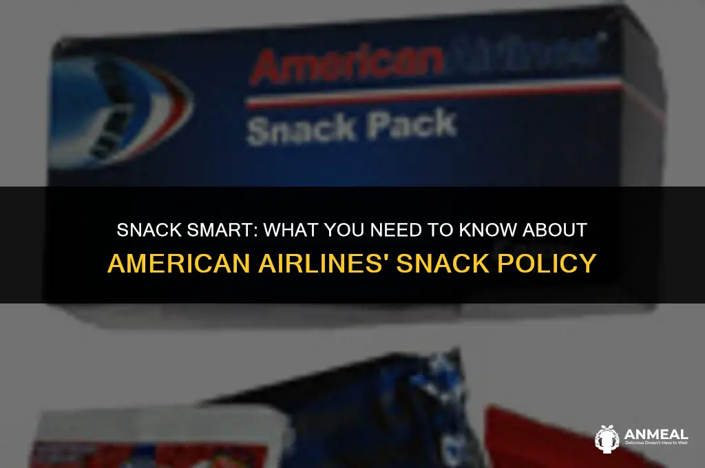 can you bring snacks on american airlines