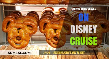 Snack Time on the High Seas: Disney Cruise Food Policy Explained