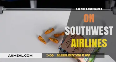 Snack Smart: What to Munch on During Your Southwest Flight