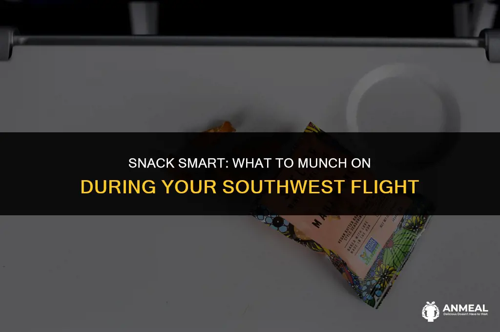 can you bring snacks on southwest airlines
