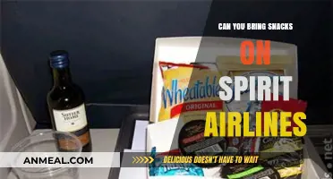 Snack Smart: Spirit Airlines' Policy on In-Flight Munchies