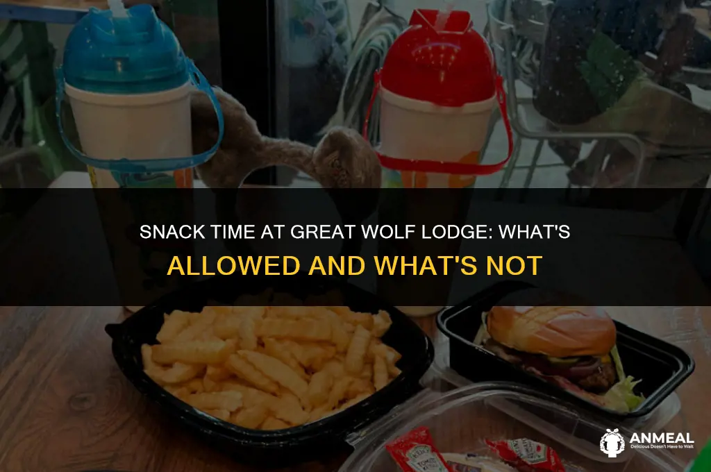 can you bring snacks to great wolf lodge