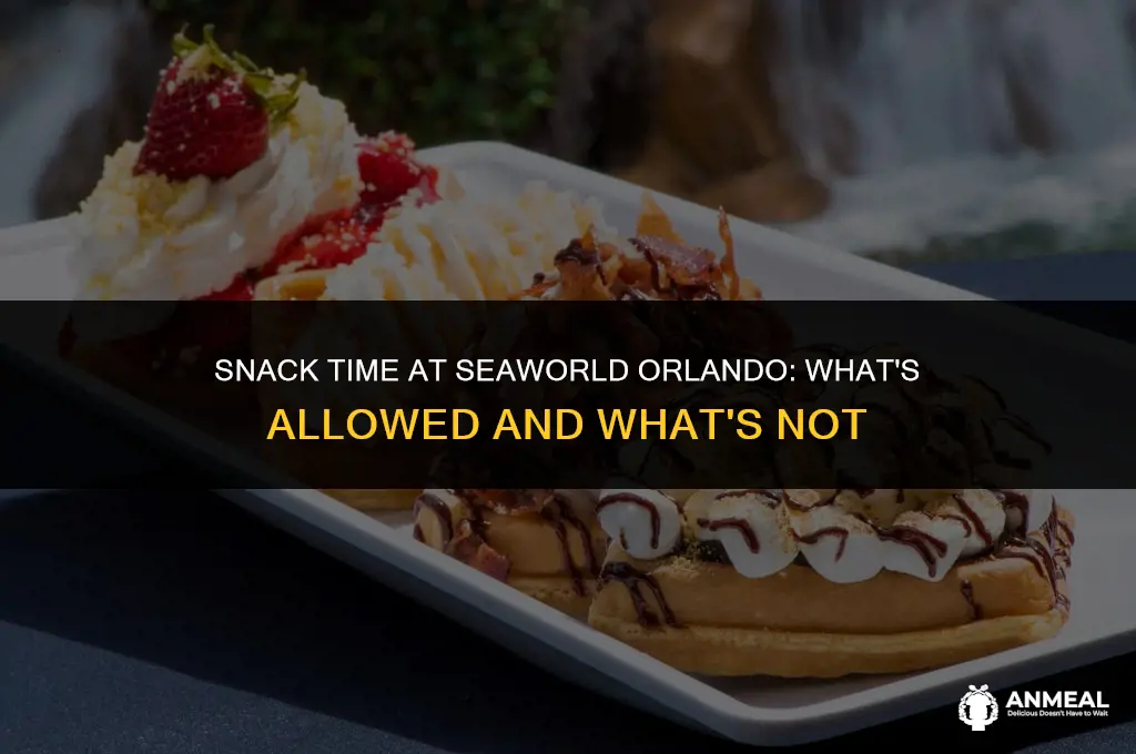 can you bring snacks to seaworld orlando