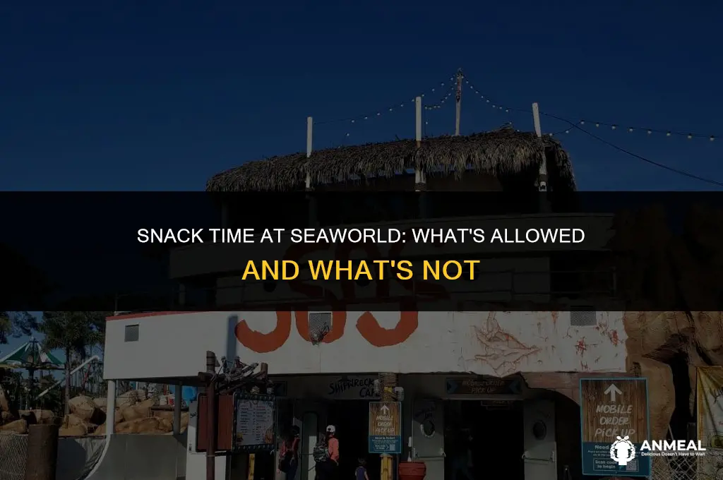 can you bring snacks to seaworld