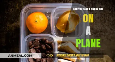 Snack Box Travel: What You Need to Know Before Flying