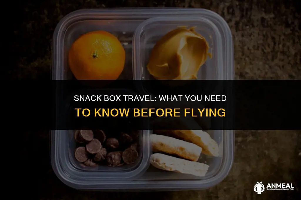 can you take a snack box on a plane