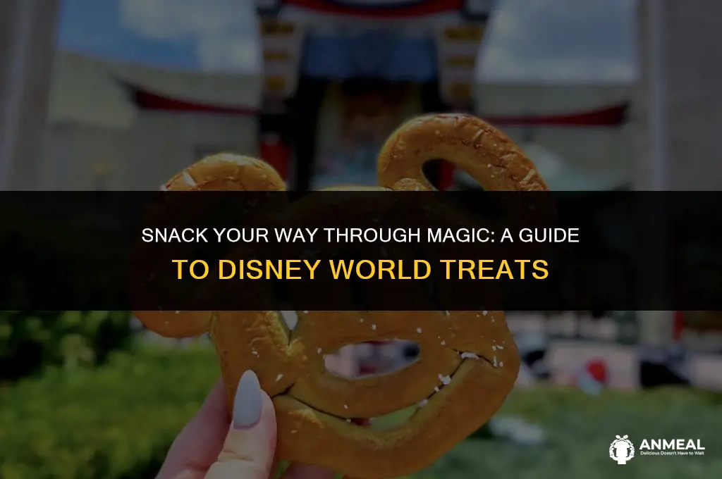 can you take snacks in disney world