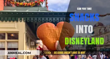 Snack Attack: What's Allowed in Disneyland's Magical Kingdom?