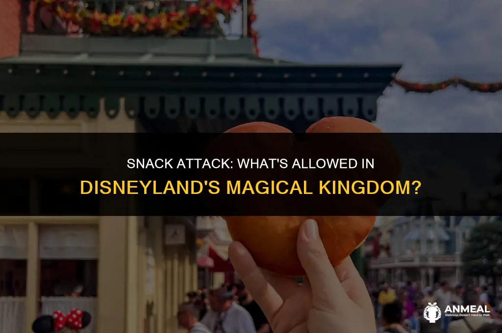 can you take snacks into disneyland