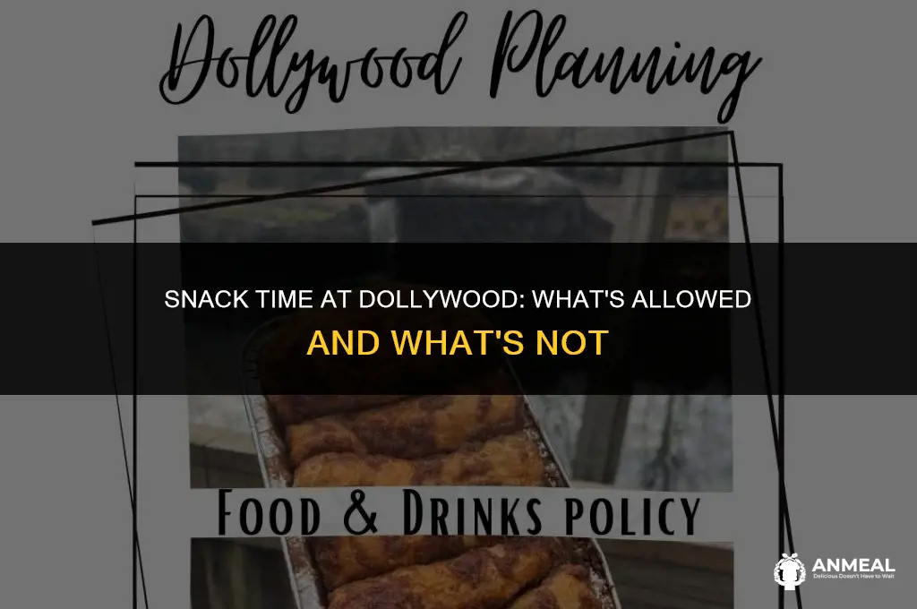 can you take snacks into dollywood