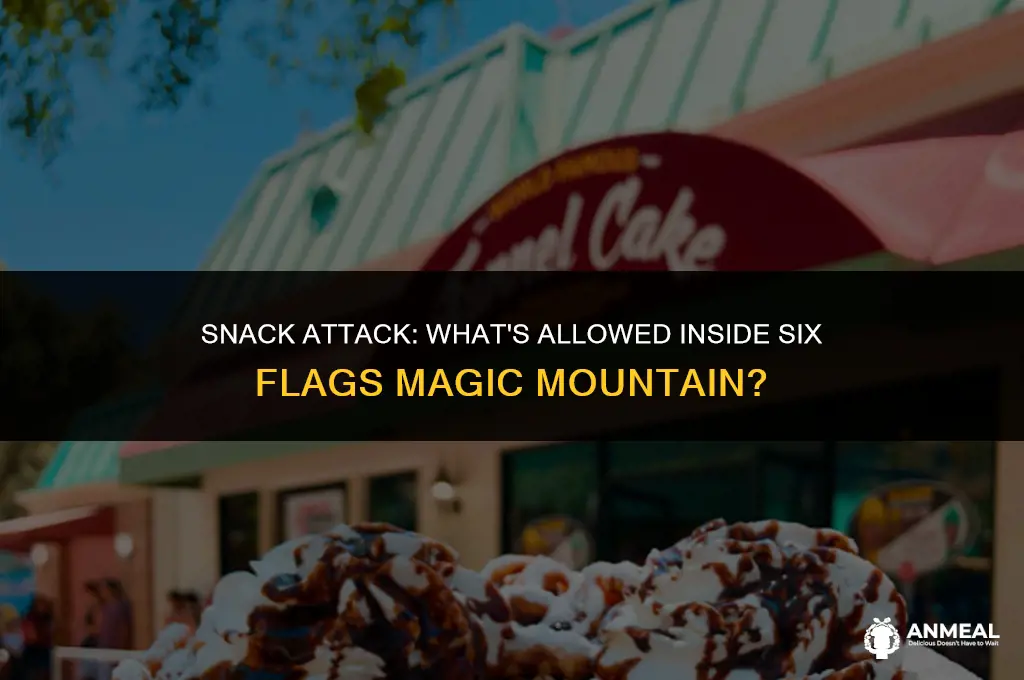 can you take snacks into six flags magic mountain