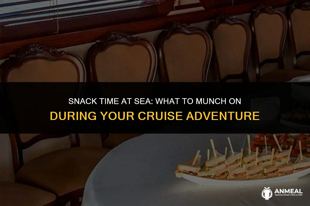 can you take snacks on a cruise ship