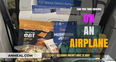 Sky-High Snacking: What You Need to Know About Airplane Food Rules