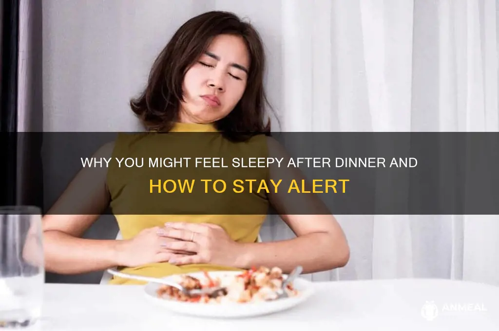 could fall asleep after dinner