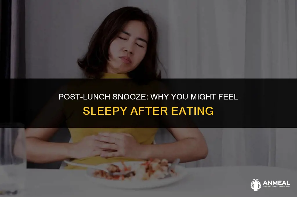 could fall asleep after lunch