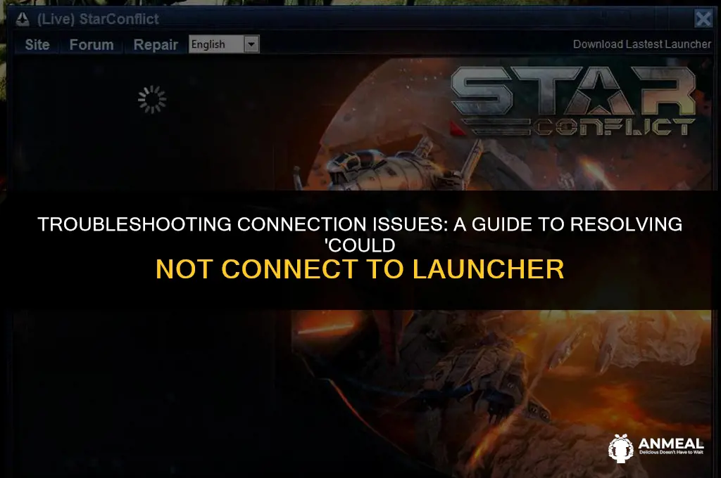 could not connect to luncher