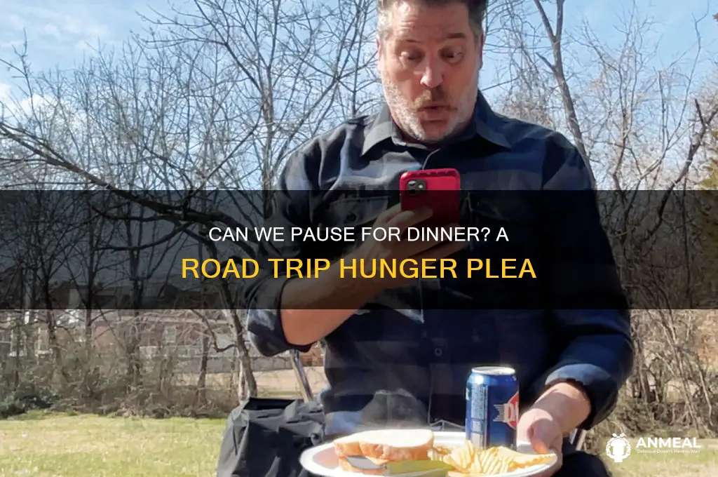 could we at least pull over and get some dinner