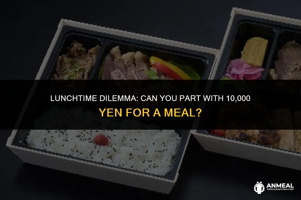 could you spare 10000 yen for lunch