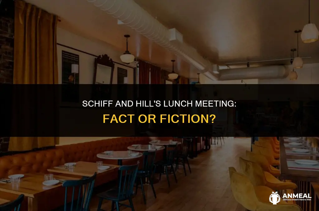 did adam schiff go to lunch with fiona hill