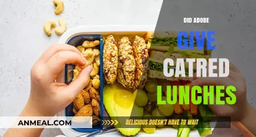 Adobe's Creative Lunches: A Perk or a Productivity Boost?