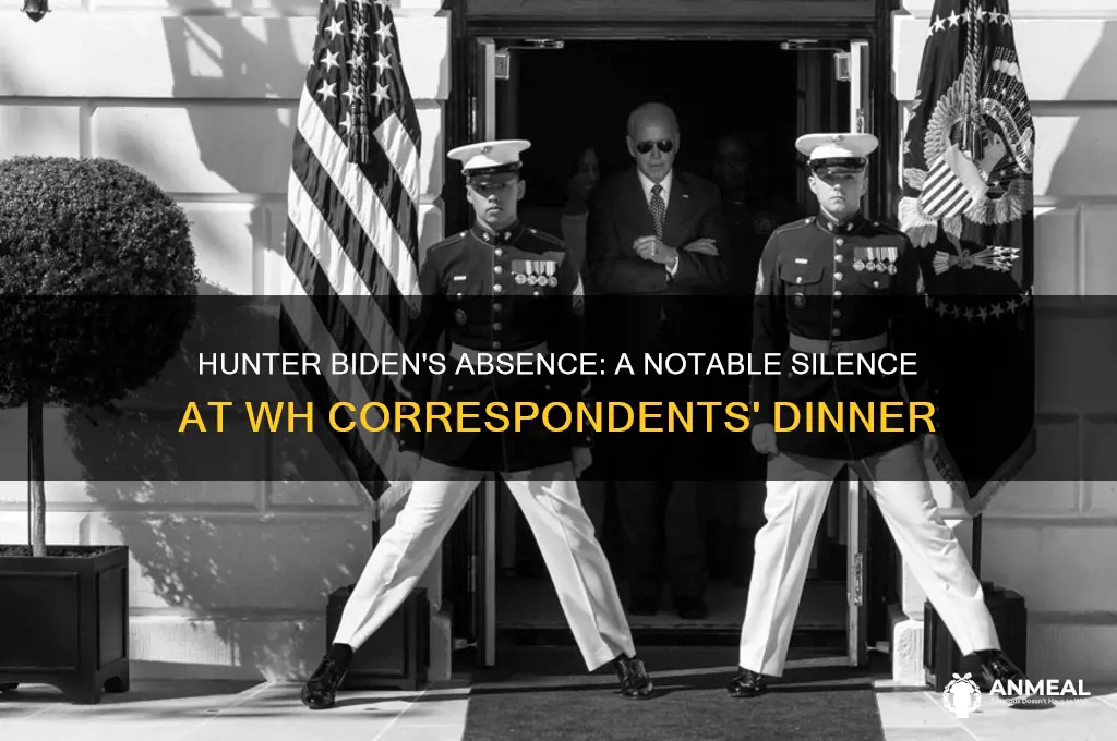 did anyone mention hunter biden at wh correspondents dinner