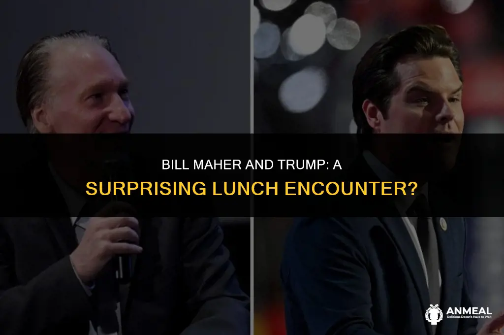 did bill maher have lunch with trump