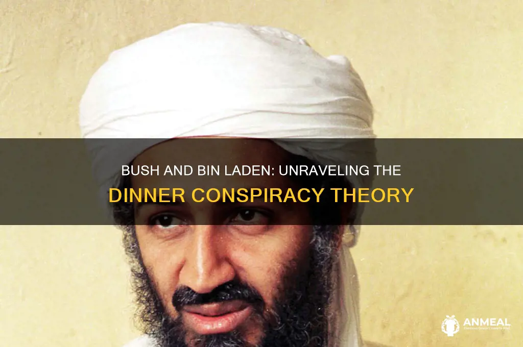 did bush have dinner with bin laden