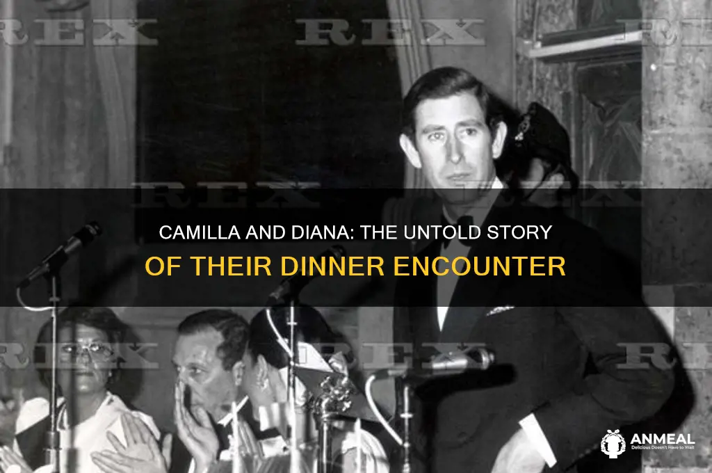 did camilla and diana go to dinner