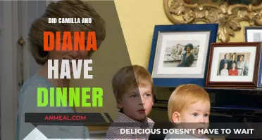 Camilla and Diana: The Untold Story of Their Dinner Encounter