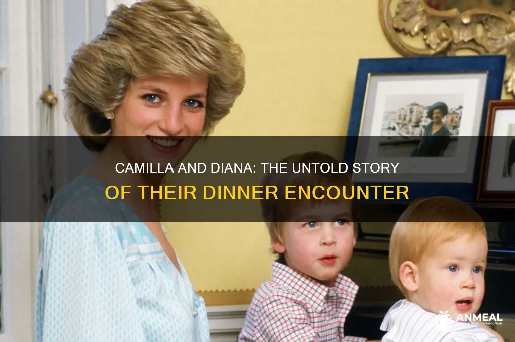 did camilla and diana have dinner